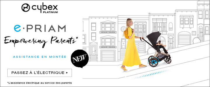 Marque e-Priam